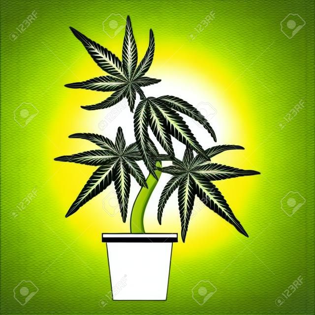 cannabis maconha maconha maconha medicinal sativa cânhamo planta desenho animado ilustração vetorial design gráfico