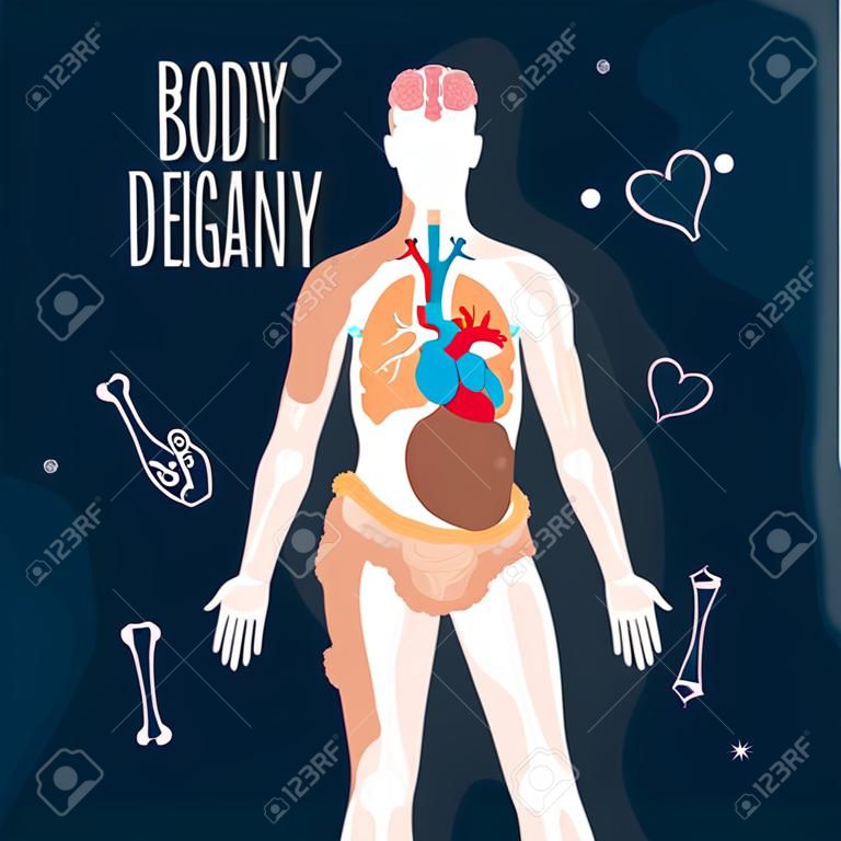 Anatomy body design