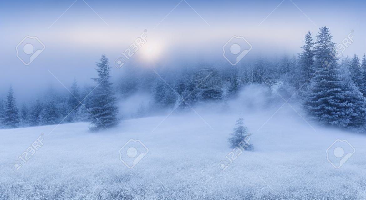 Magic Winter Landscape. Awesome alpine highlands in fog. Panoramic view of  winter fairy-tale  frozen trees and  Majestic mountain rock on the background. in the Alps in misty evening at sunset