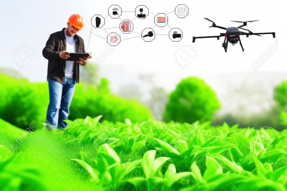 Slimme boer met behulp van technologie controle landbouw drone farming vliegen om te spuiten meststof of Insecticide op de velden. Industriële landbouw en slimme landbouw drone technologie slimme boerderij concept