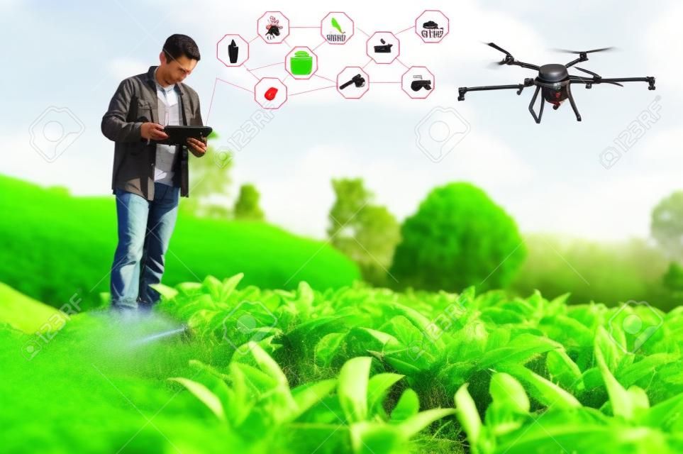 Slimme boer met behulp van technologie controle landbouw drone farming vliegen om te spuiten meststof of Insecticide op de velden. Industriële landbouw en slimme landbouw drone technologie slimme boerderij concept