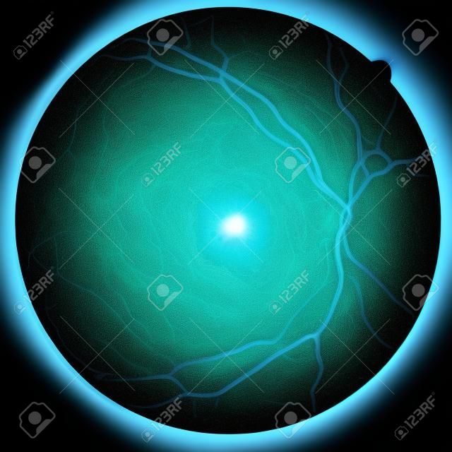 Imagem da retina do olho esquerdo com macula, vasos e disco óptico vista isolada em um bacground preto