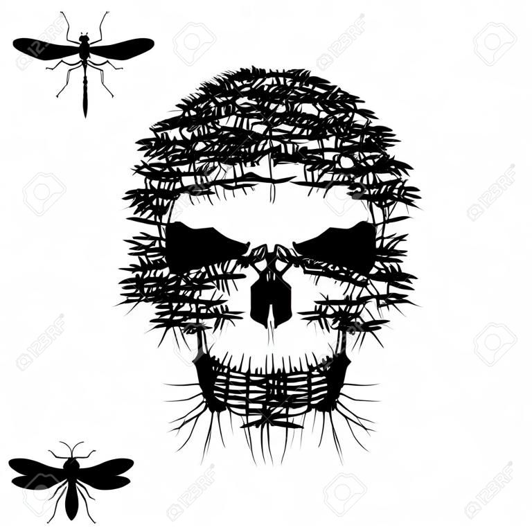 Skull of mosquito isolated on white, vector object
