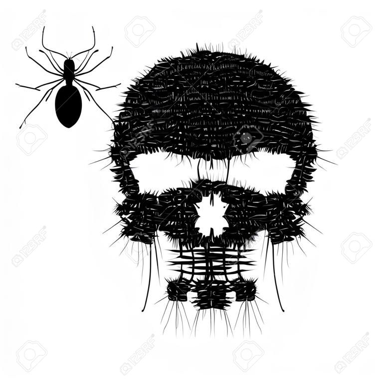 Skull of mosquito isolated on white, vector object