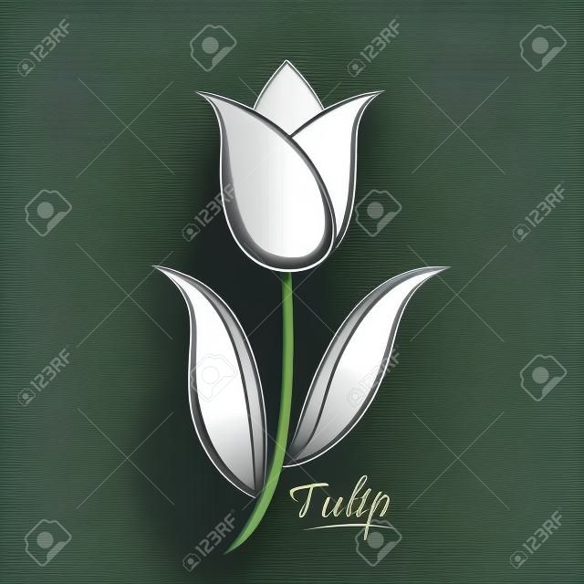 Vektor fekete kontúrja a tulipán, virág, elszigetelt, fehér alapon