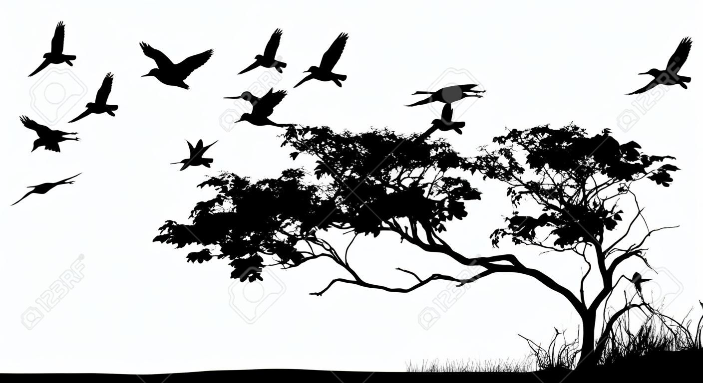 silhouette albero con gli uccelli che volano