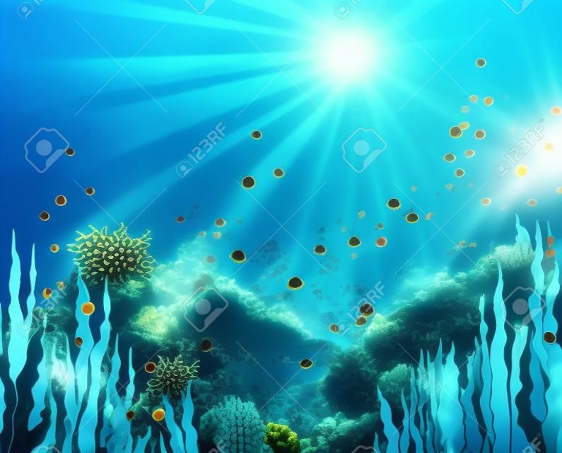 beautiful view of sea life background