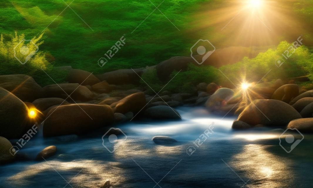 Rivier steen en boom met zonnestraal, Bekijk water rivier boom, Stenen rivier en zonnestraal in het bos