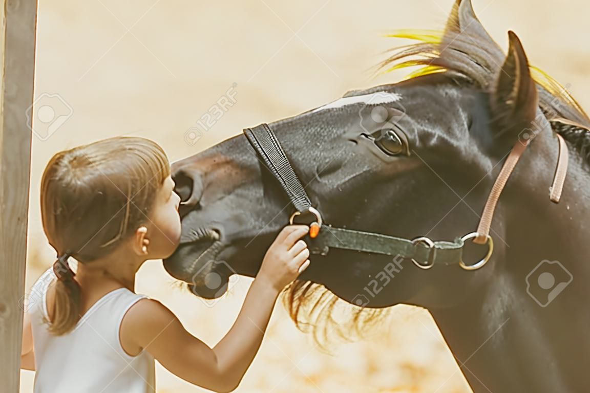 Niña alimentando a caballo en su granja a través de una cerca de madera blanca.