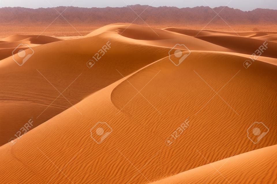 Avant le coucher du soleil dans le désert, nice oman.