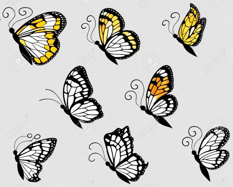 Ocho mariposas adornadas para su diseño aislados sobre fondo blanco.