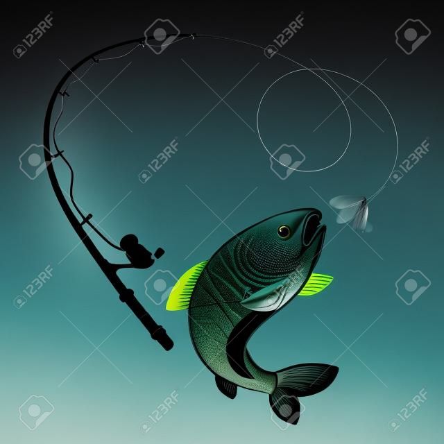 鱼和钓鱼竿映衬着钓鱼