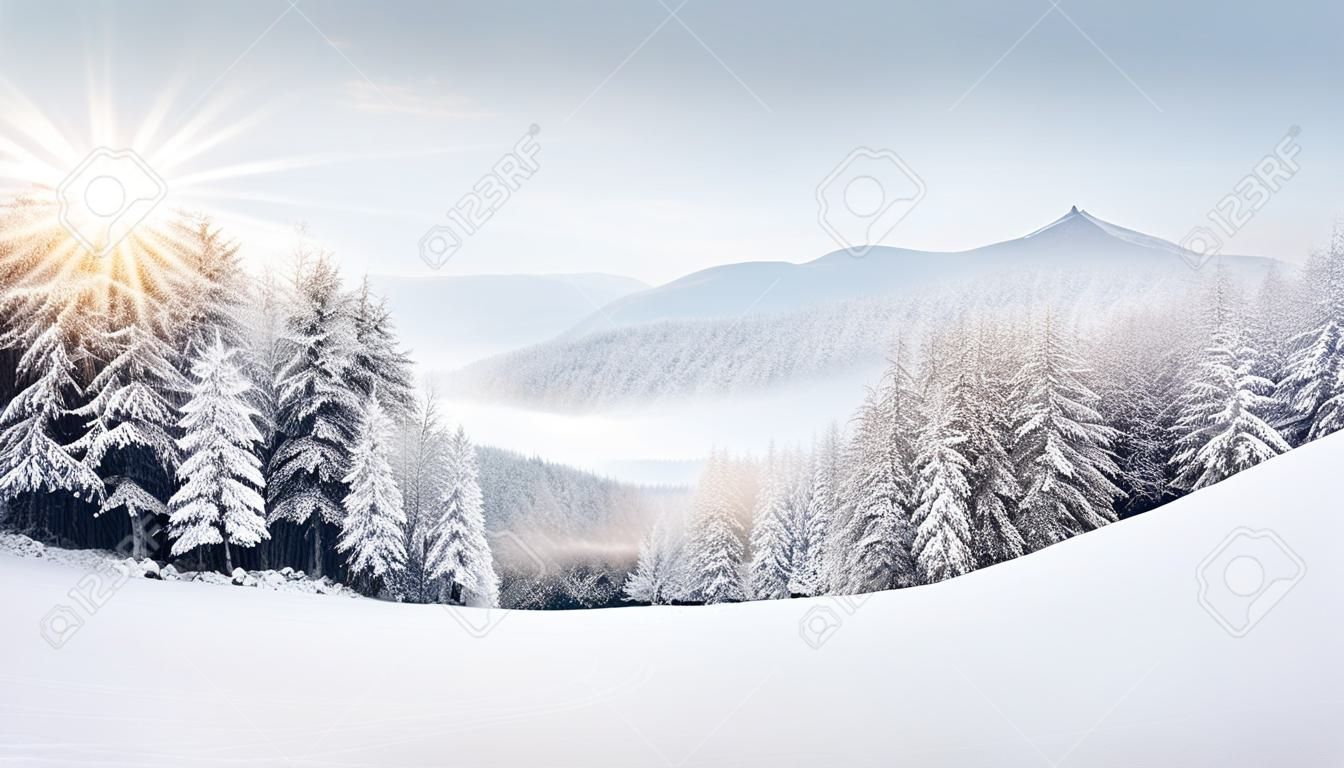 Panorama du paysage brumeux d'hiver dans les montagnes