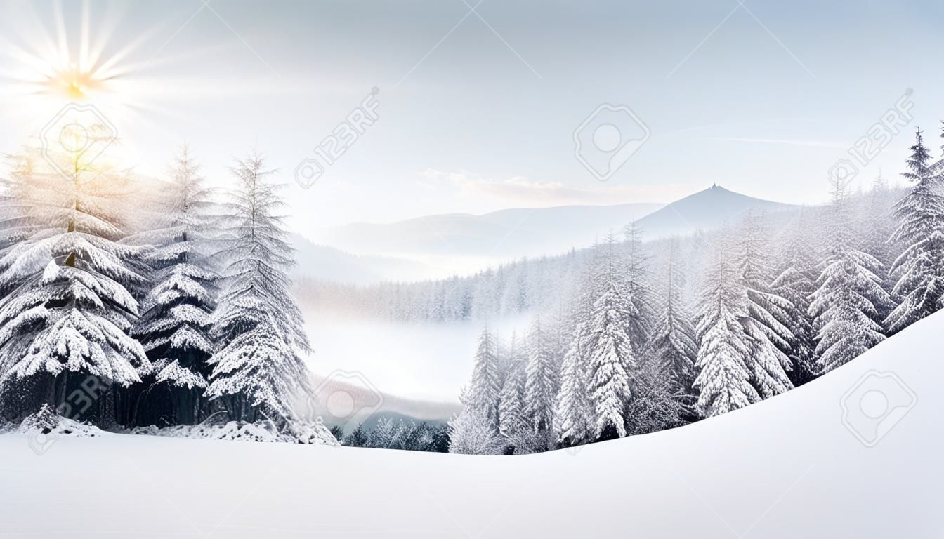 Panorama du paysage brumeux d'hiver dans les montagnes