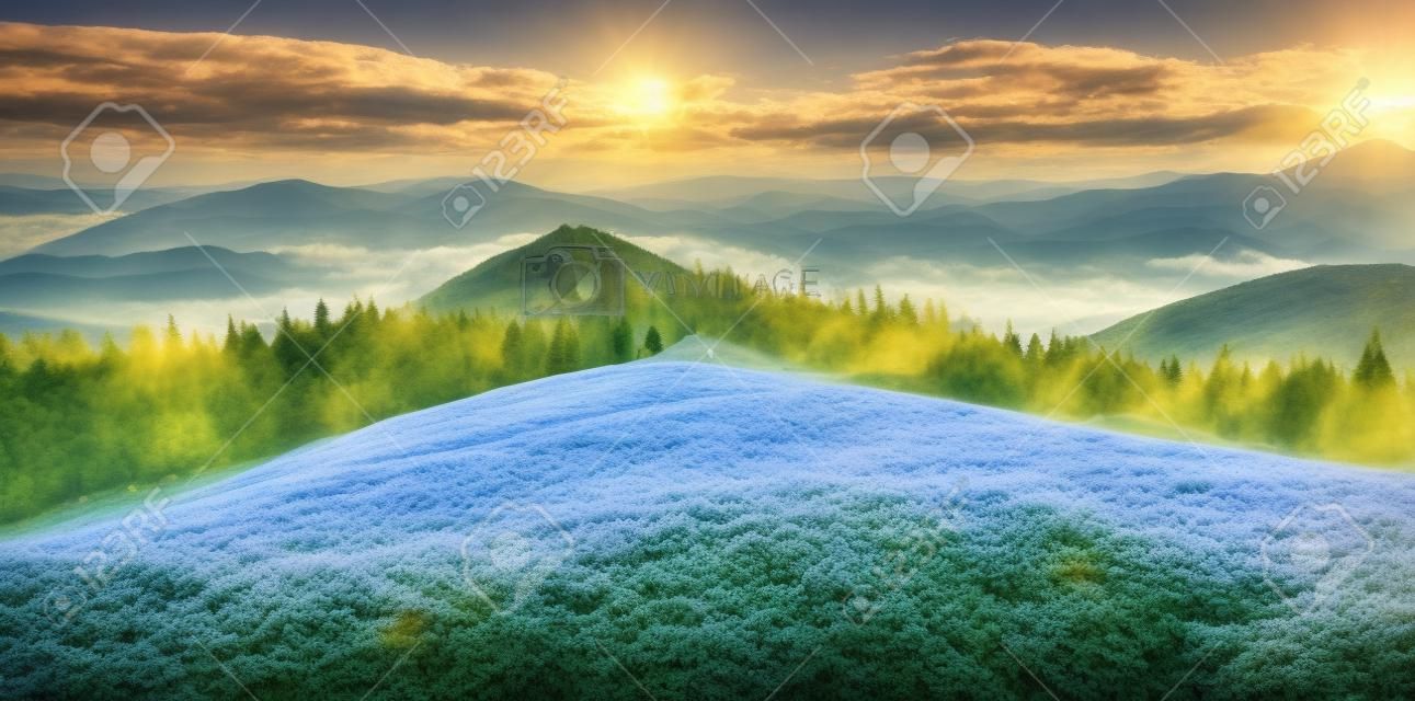 Bright summer morning in the Carpathian mountains. Picturesque outdoor scene on the mountain valley in June, Ukraine, Tatariv village location, Europe. Infrared efect toned.