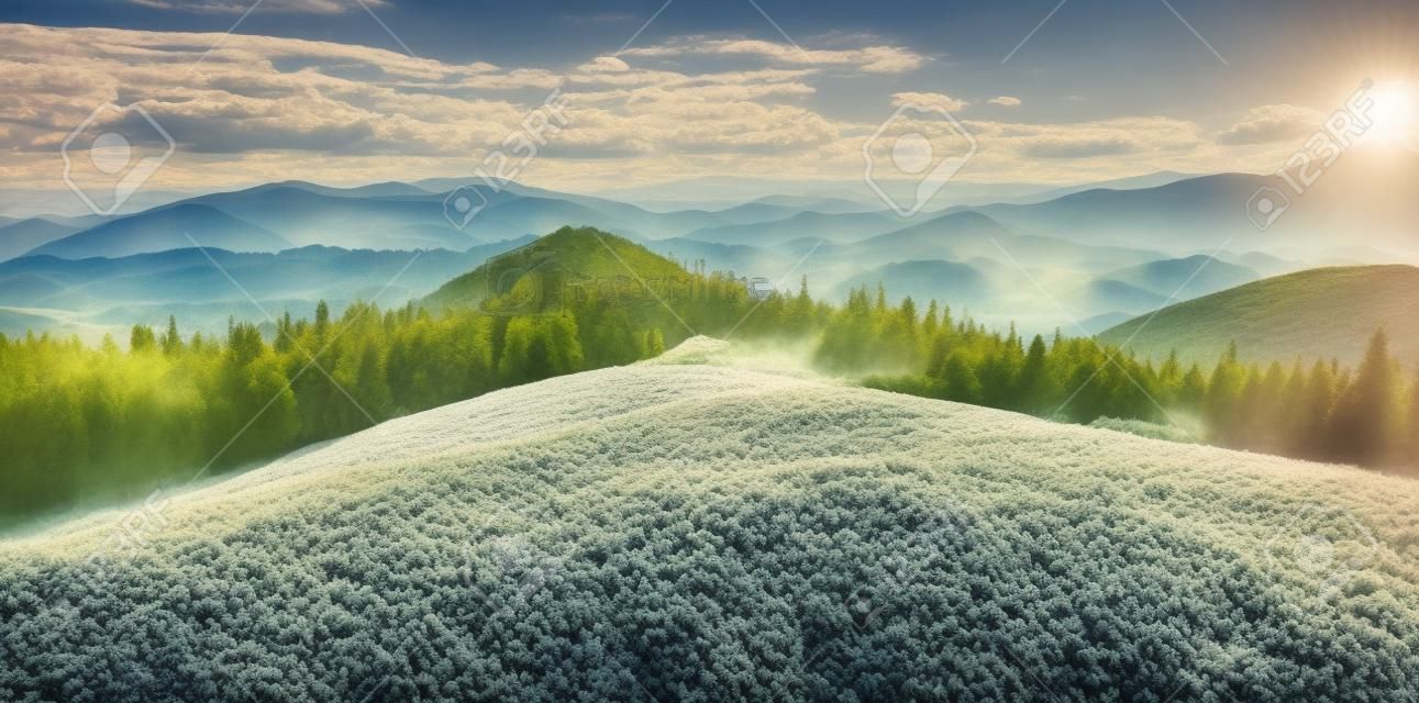Bright summer morning in the Carpathian mountains. Picturesque outdoor scene on the mountain valley in June, Ukraine, Tatariv village location, Europe. Infrared efect toned.