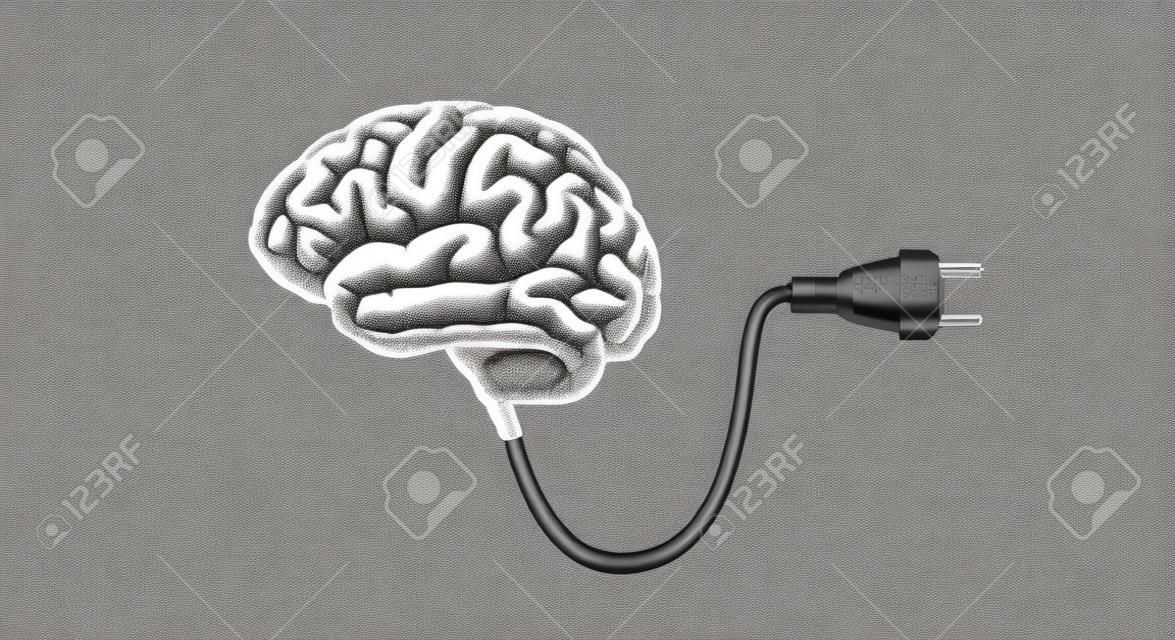 Grabado vintage monocromo dibujo cerebro humano conectado con ilustración de cable de enchufe eléctrico aislado sobre fondo blanco
