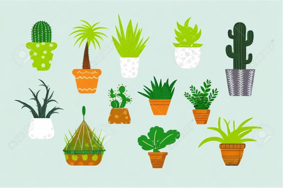 Set of domestic green plants vector illustration. Different types of various kinds of home herbs cactus palm tree fern in flowerpot flat style design. Isolated on white