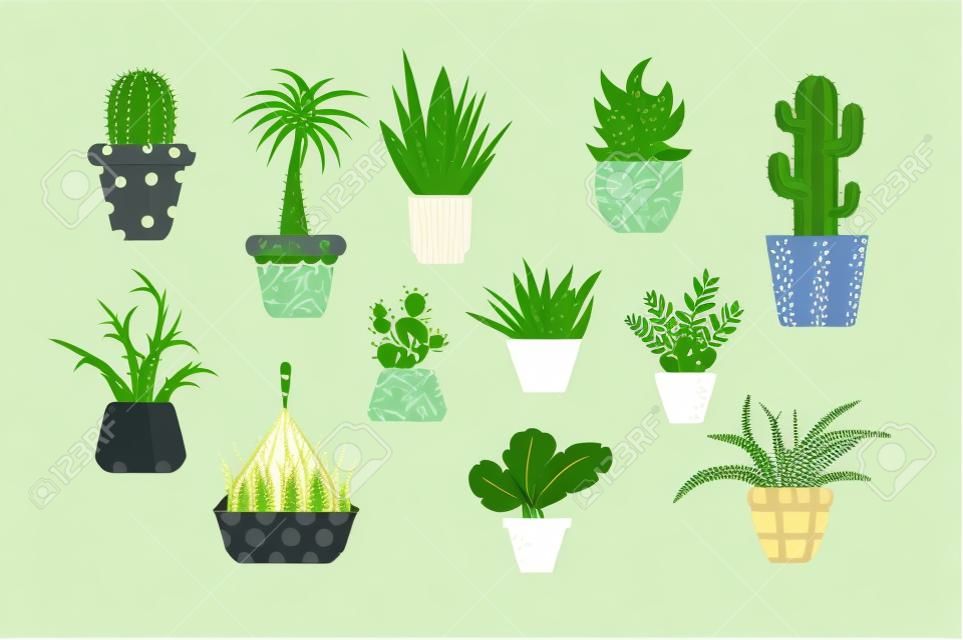 Set of domestic green plants vector illustration. Different types of various kinds of home herbs cactus palm tree fern in flowerpot flat style design. Isolated on white
