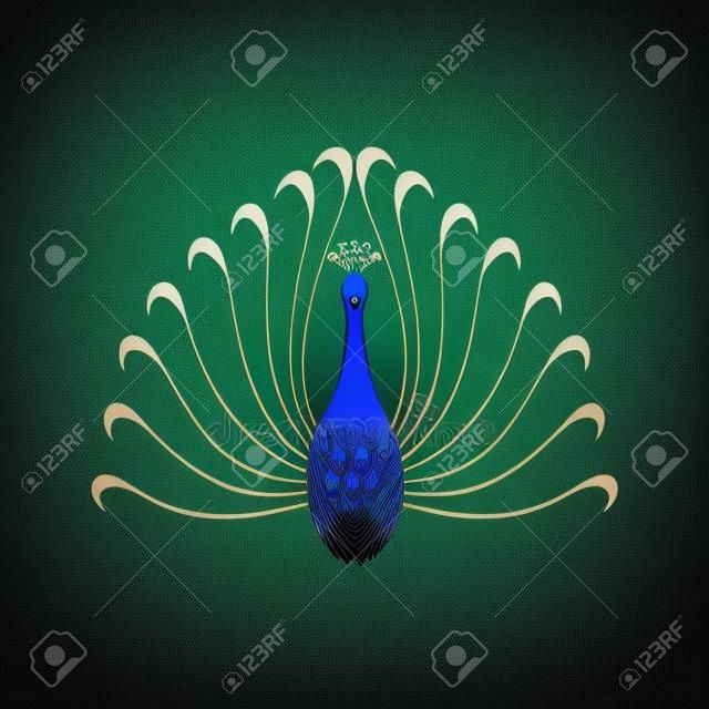 Peacock - vector Illustration with long shadow