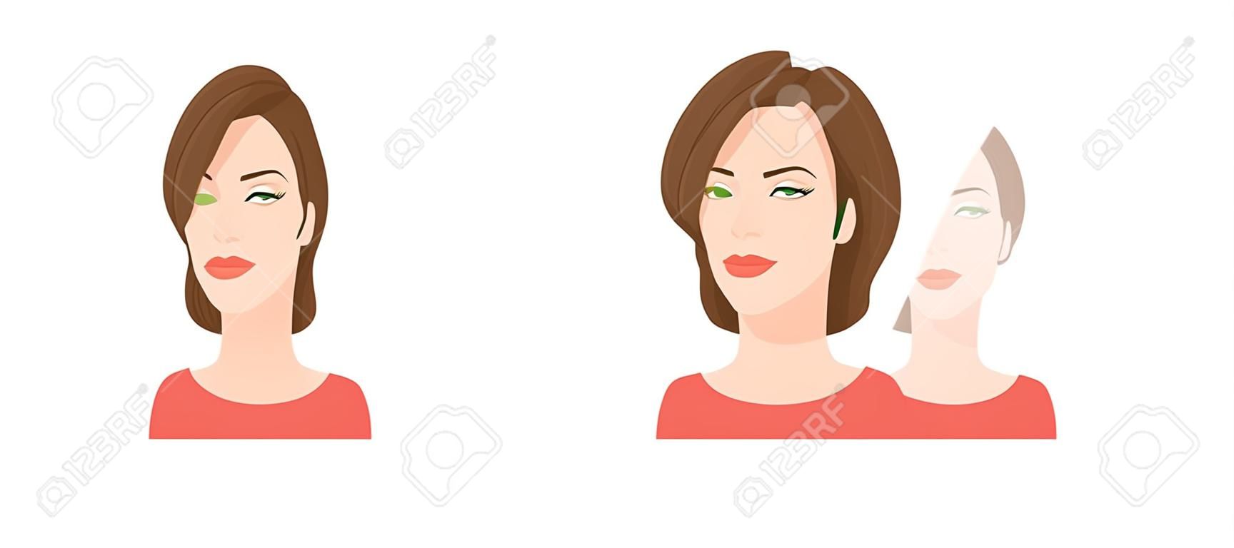 Vector l'illustrazione del fronte della bella donna su fondo bianco, varie teste dei giri Fronte e profilo.