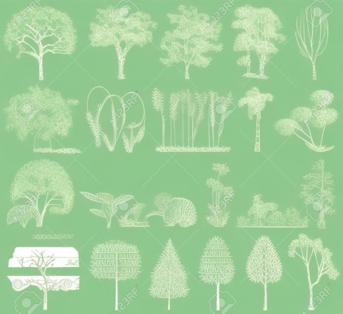 Set of trees, bushes, plants. Side view. Vector illustration. Drawing on a white background