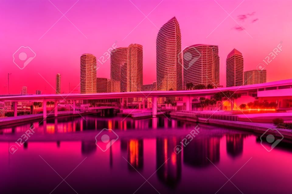 美麗的粉紅色日出和坦帕市中心，佛羅里達州反思
