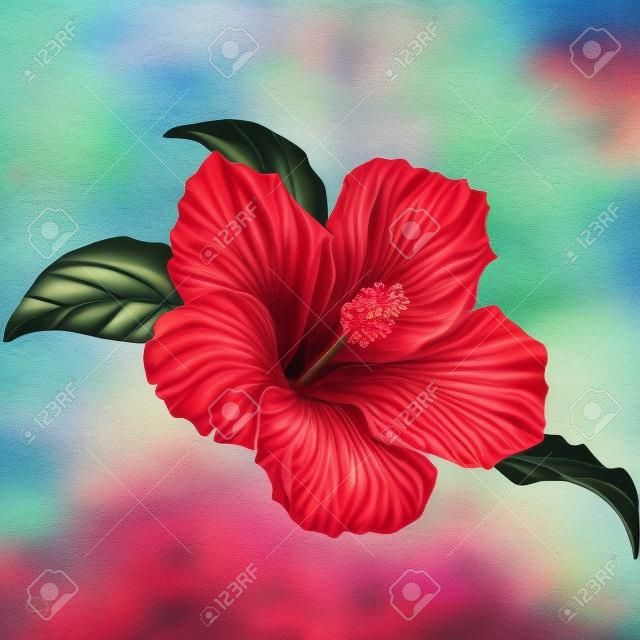Red Hibiscus Flower Blossom With Leaves