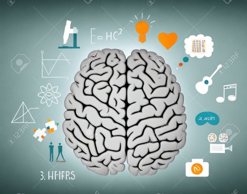 Brain infographics in two hemispheres with different thoughts