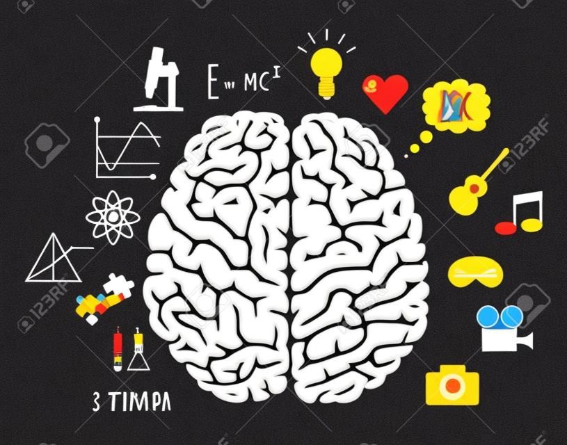 Infografía del cerebro en dos hemisferios con diferentes pensamientos