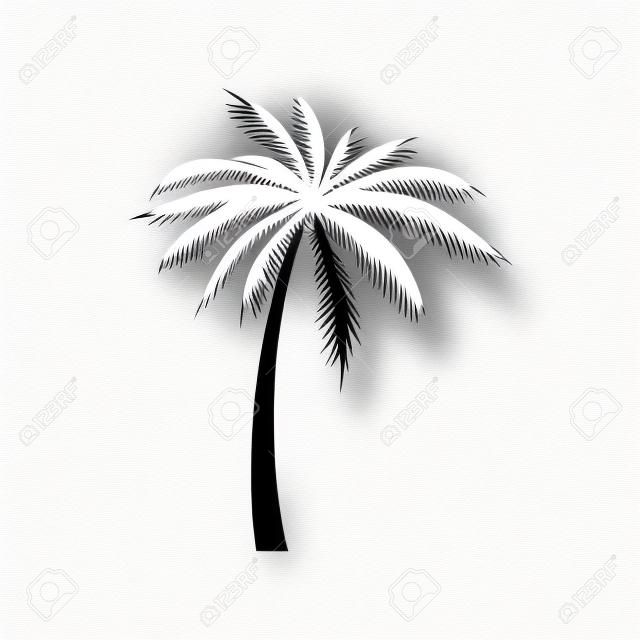 Icona dell'albero del cocco nello stile semplice su un fondo bianco