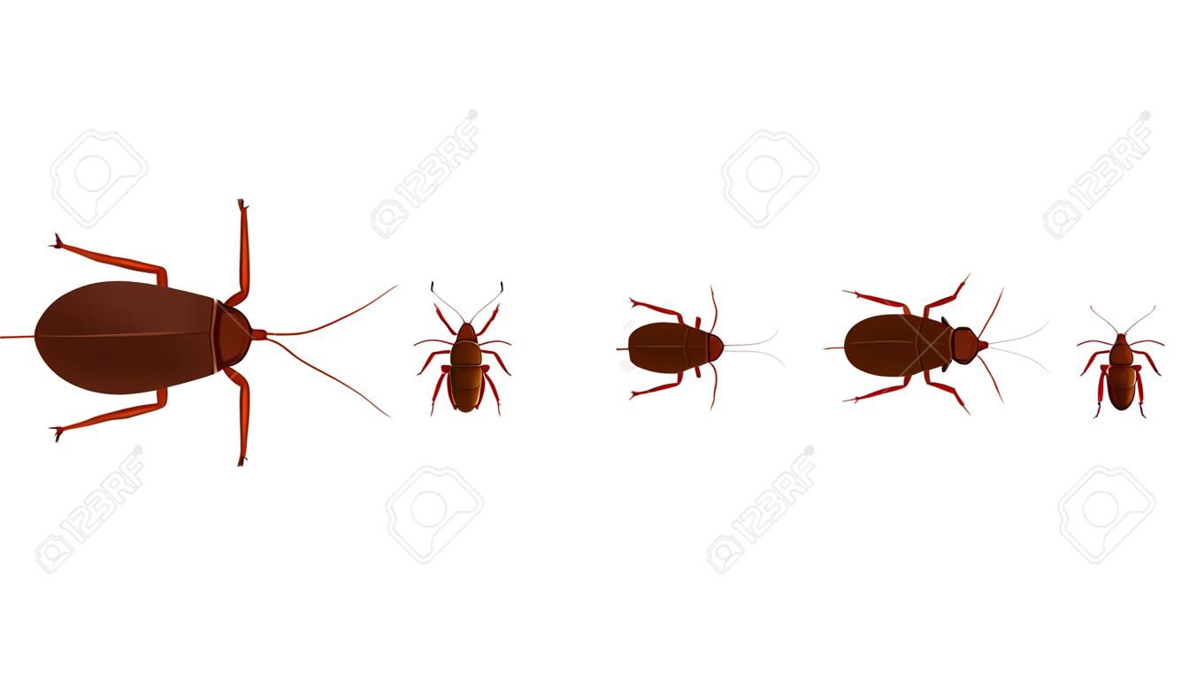cockroach cartoon vector. free space for text. wallpaper.