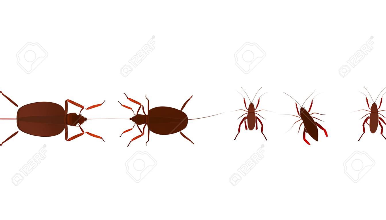 cockroach cartoon vector. free space for text. wallpaper.