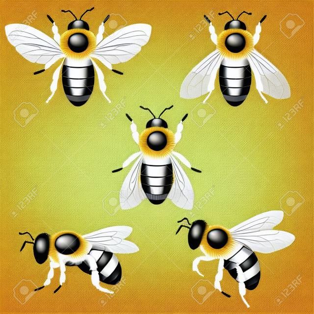 Vector illustration - bees on white, EPS 10, RGB. Use transparency.