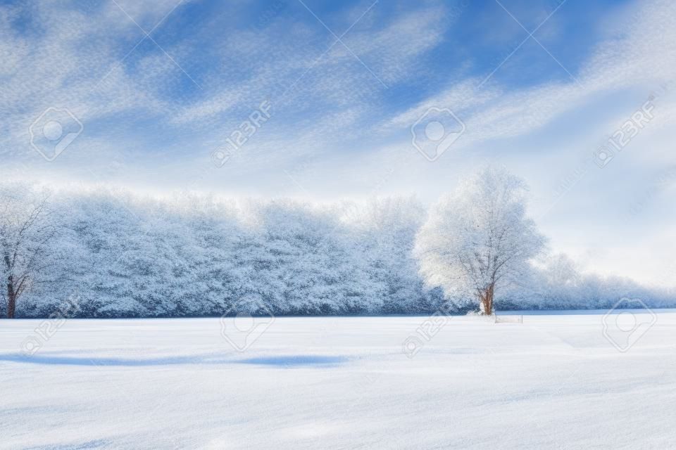 Snow covered Farmland und Bäume im winter