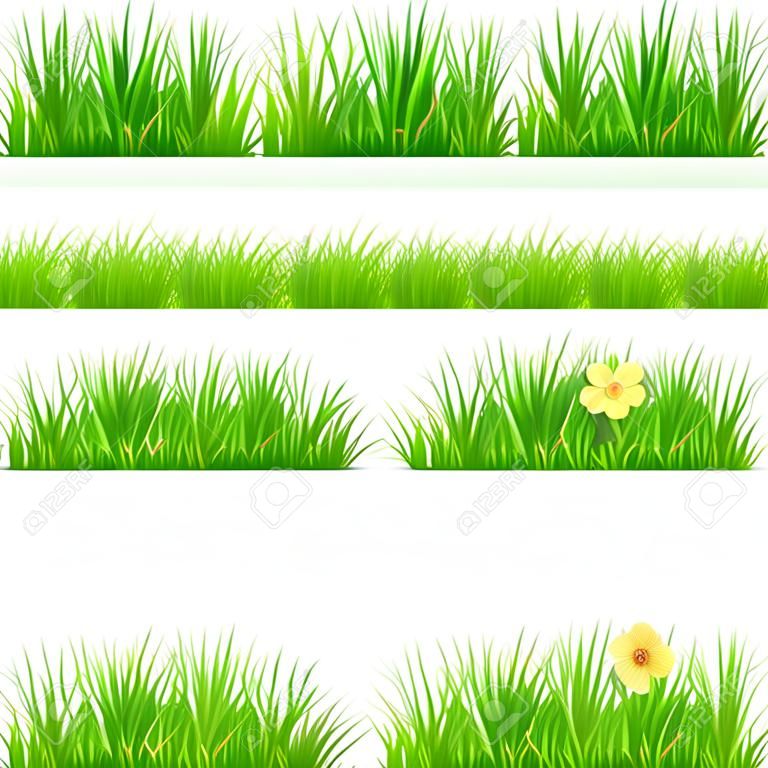 Définir de l'herbe de la bordure verte.