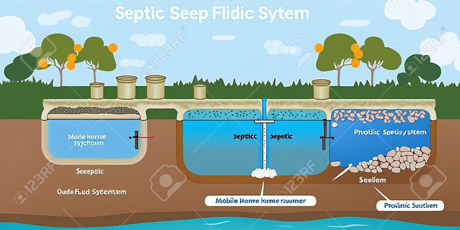 Mobile home septic system and drain field scheme. Underground septic system diagram. Typical household septic tank. External network of private home sewage treatment system. Stock vector illustration