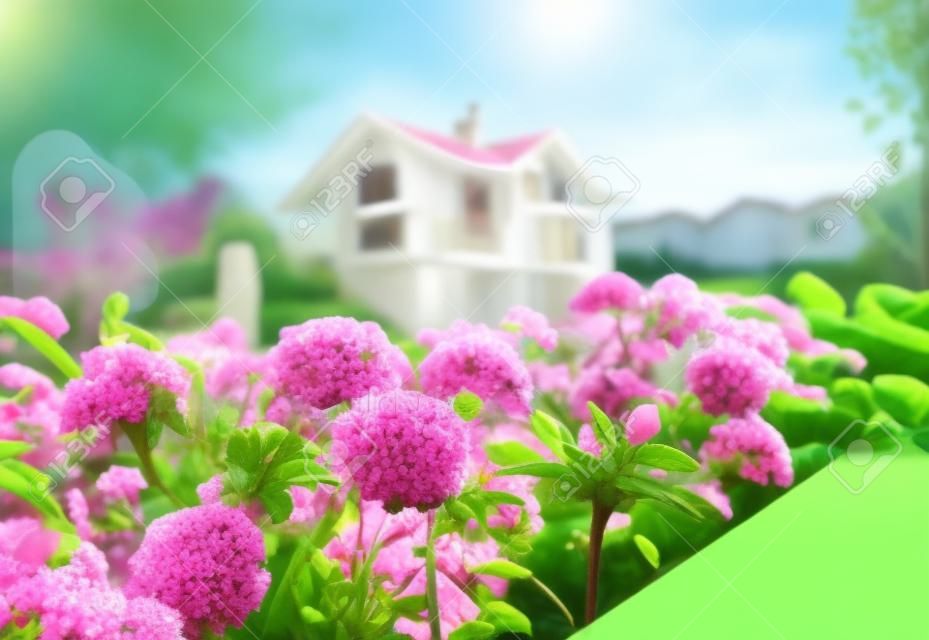 Beau petit jardin fleuri et la maison en arrière-plan