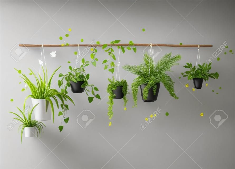 Hanging flower pots, interior design element