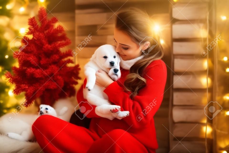 La muchacha atractiva se sienta en casa con el perrito lindo en las manos. Navidad.