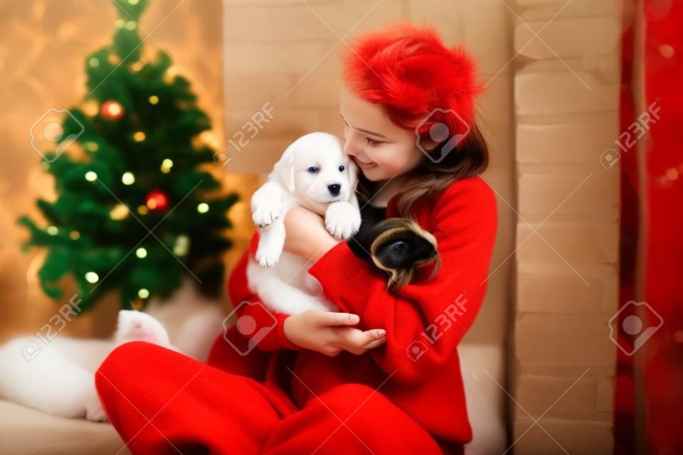 La muchacha atractiva se sienta en casa con el perrito lindo en las manos. Navidad.