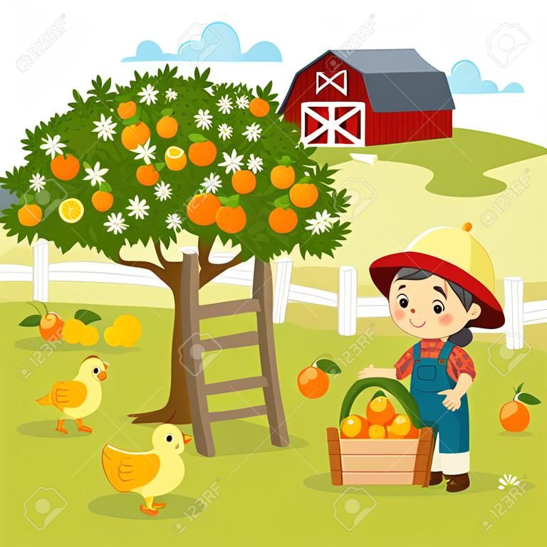Caricature d'illustration vectorielle de petit garçon et petite fille cueillant des oranges dans la ferme.