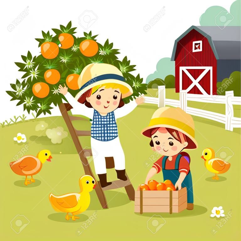 어린 소년과 어린 소녀가 농장에서 오렌지를 따는 벡터 삽화 만화.