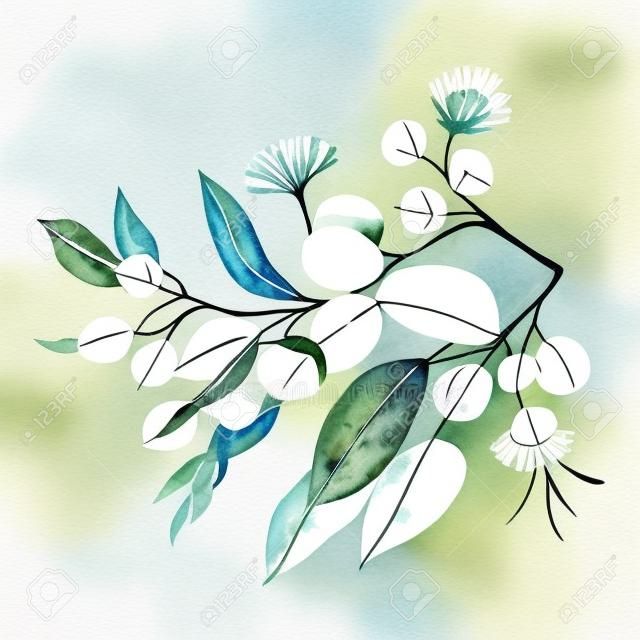 Watercolor eucalyptus bouquet illustration. Hand-painted branches of sage green eucalyptus, isolated white background. Beautiful floral arrangement. Vector illustration
