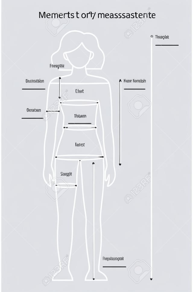 Measurements of the female body for the fashion industry, tailoring or diet. Vector outline illustration of human proportions. Size chart.