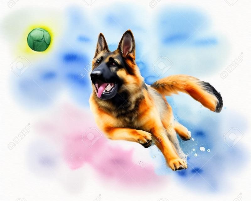 German shepherd dog playing and catching a ball from a splash of watercolor, hand drawn sketch