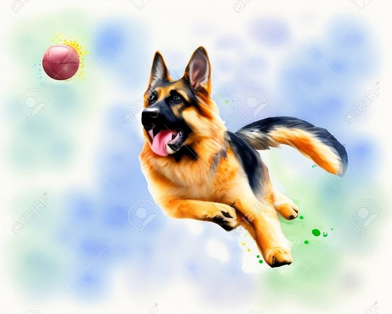 Cane da pastore tedesco che gioca e prende una palla da una spruzzata di acquerello, schizzo disegnato a mano