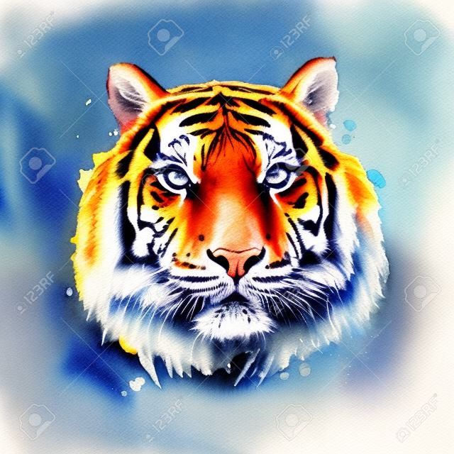 Tiger head portrait from a splash of watercolor, colored drawing, realistic
