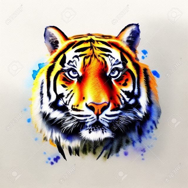 Tiger head portrait from a splash of watercolor, colored drawing, realistic