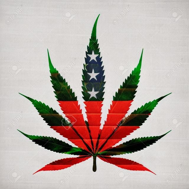 Folha de marijuana com as cores da bandeira americana isolada no branco